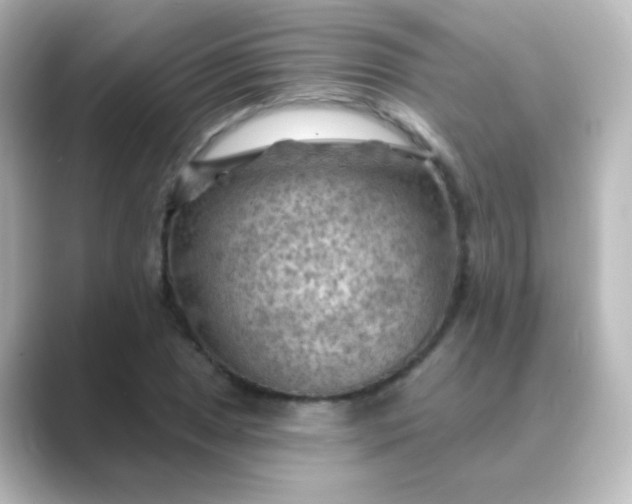 X0000088831025200706211811