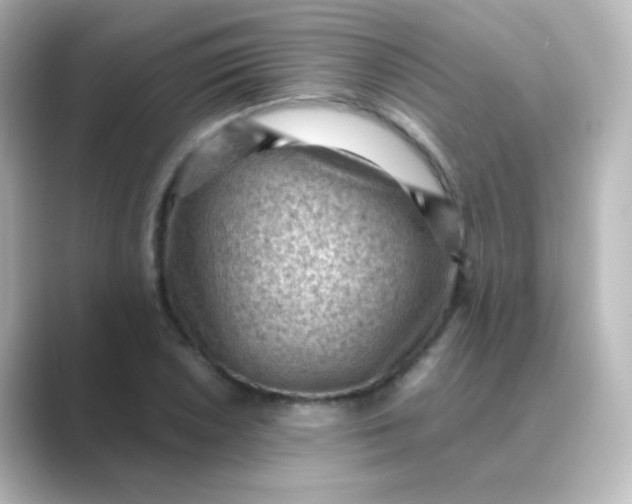 X0000088831026200706211811