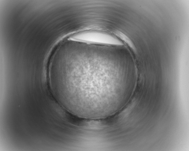 X0000088831027200706211811