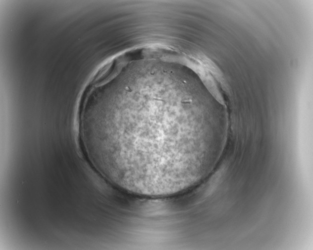 X0000088831028200706211811