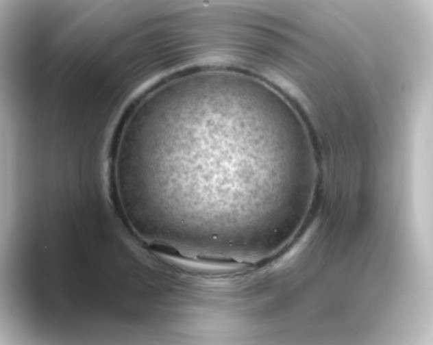 X0000088831029200706211811