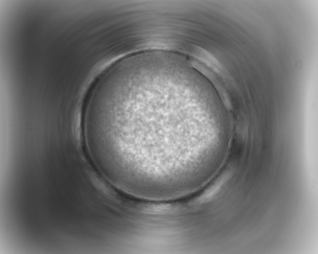 X0000088831030200706211811