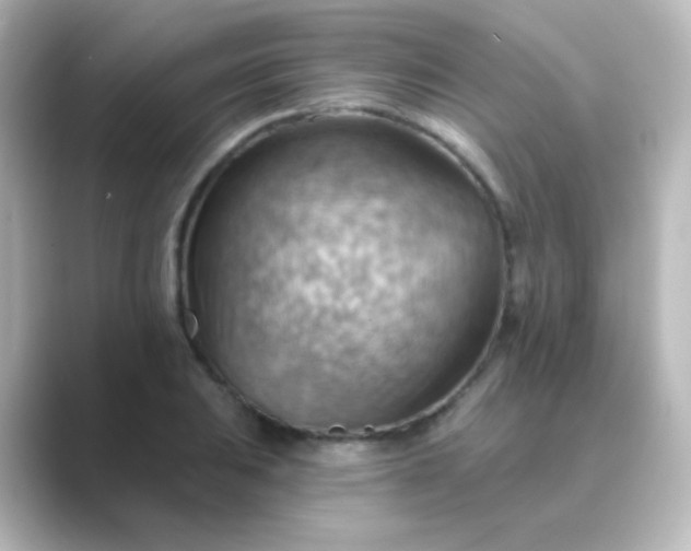 X0000088831031200706211811