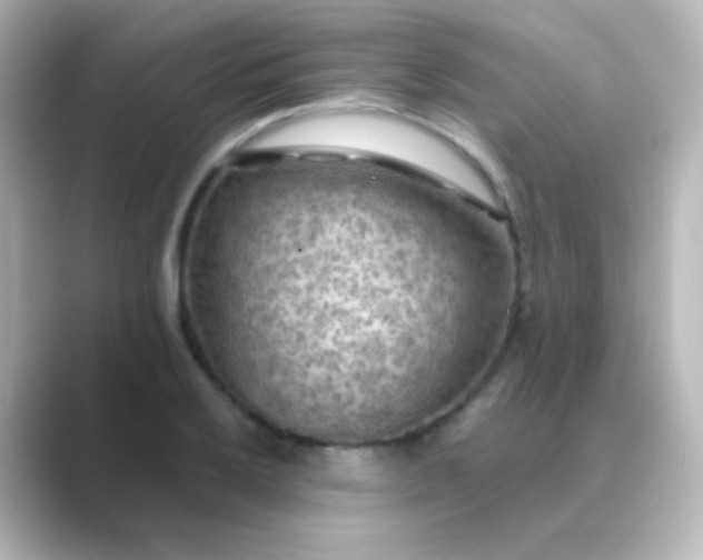 X0000088831032200706211811