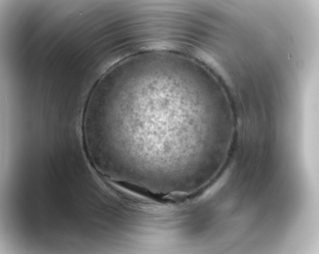 X0000088831033200706211811