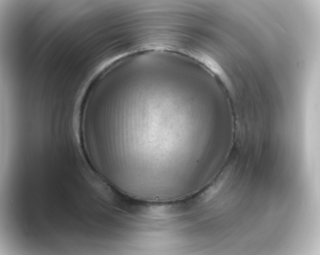 X0000088831035200706211811