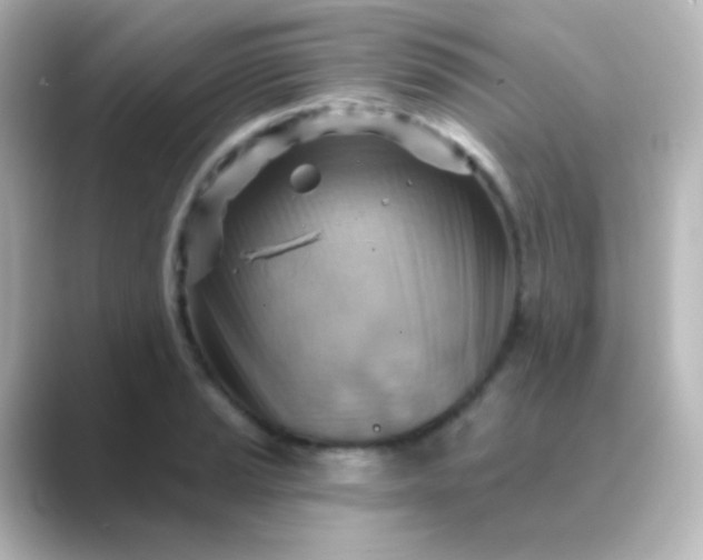 X0000088831037200706211811