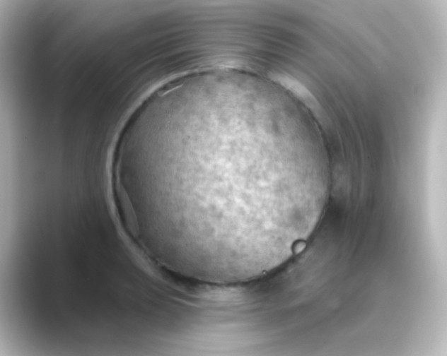 X0000088831039200706211811