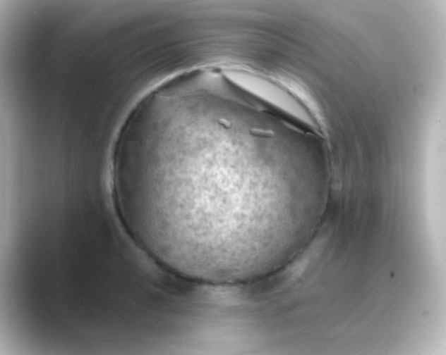 X0000088831040200706211811