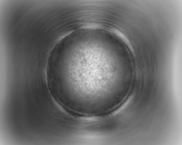 X0000088831041200706211811