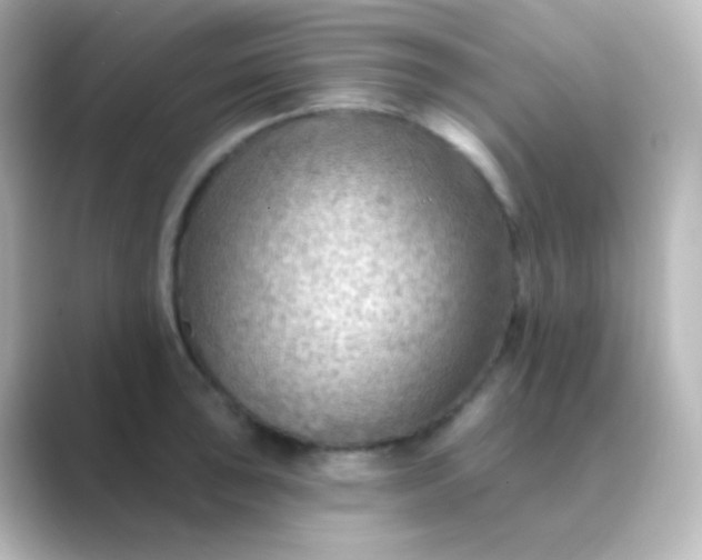 X0000088831043200706211811