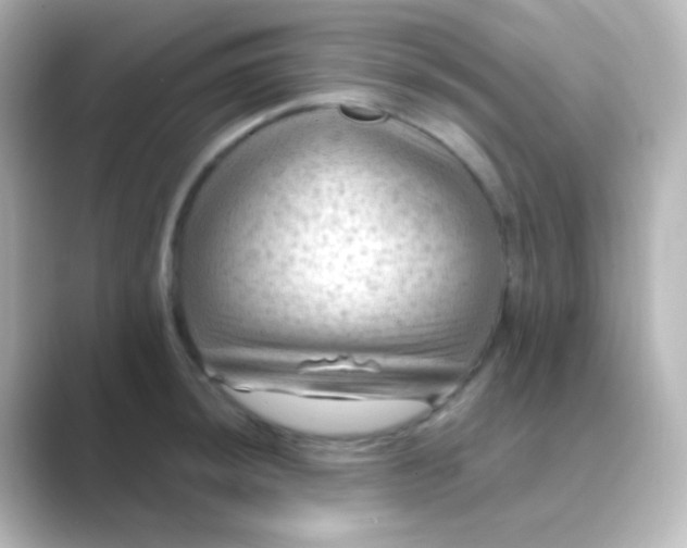 X0000088831044200706211811