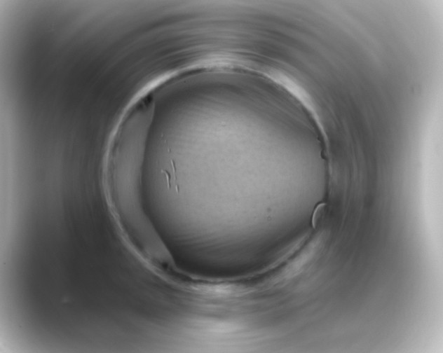 X0000088831045200706211811