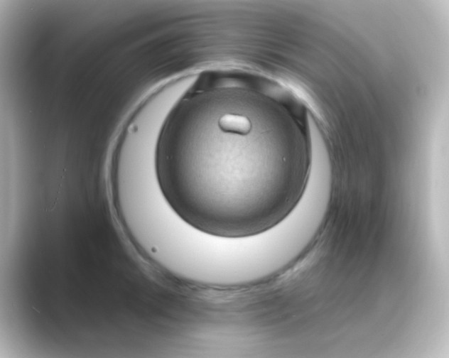 X0000088831046200706211811