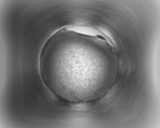 X0000088831047200706211811