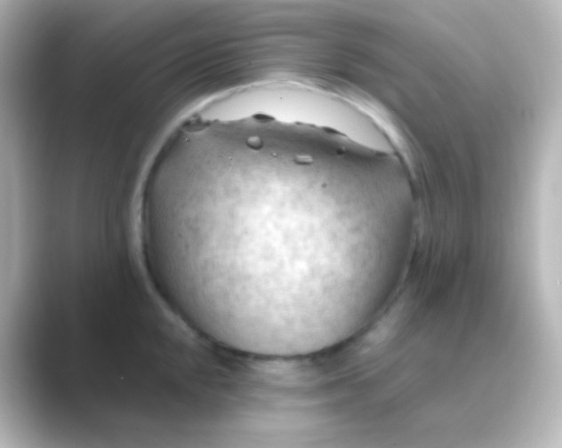 X0000088831048200706211811