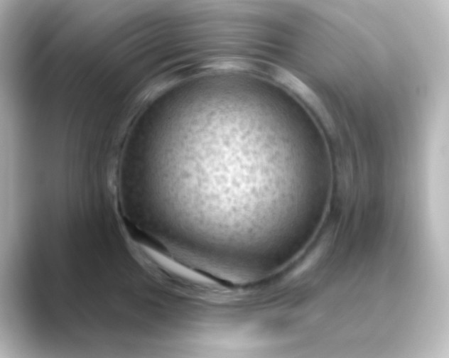 X0000088831049200706211811