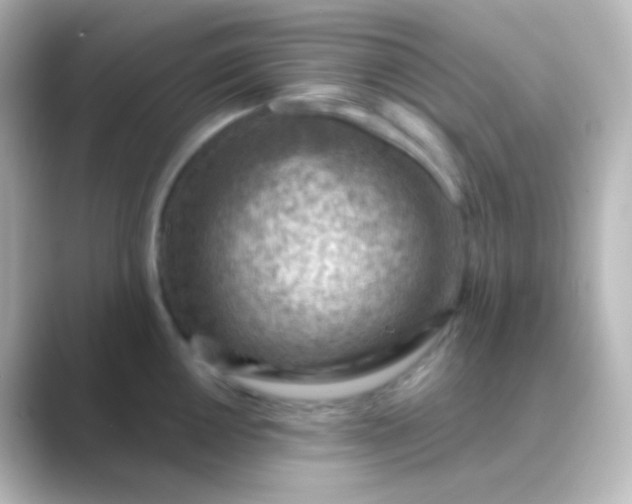 X0000088831050200706211811