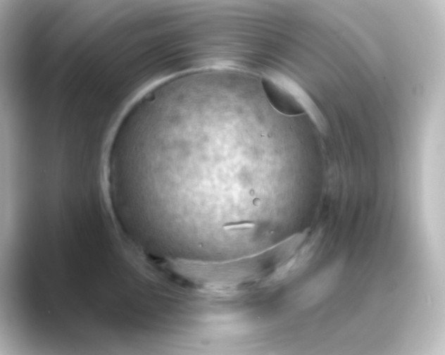 X0000088831051200706211811