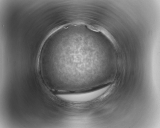 X0000088831052200706211811