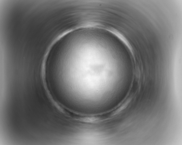 X0000088831053200706211811