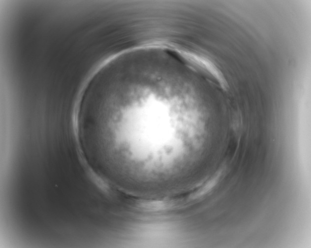 X0000088831054200706211811