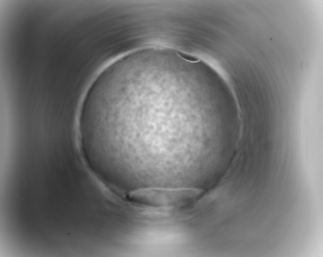 X0000088831056200706211811