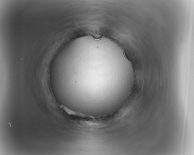 X0000088831057200706211811