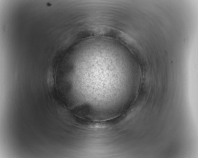 X0000088831058200706211811