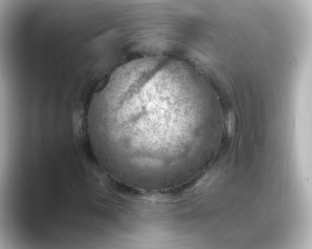 X0000088831059200706211811