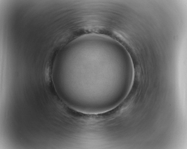 X0000088831060200706211811