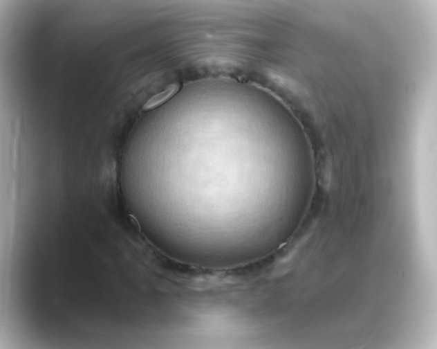 X0000088831061200706211811