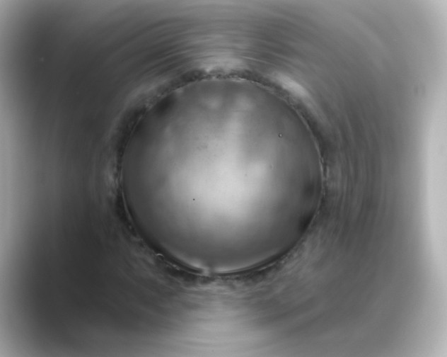 X0000088831063200706211811