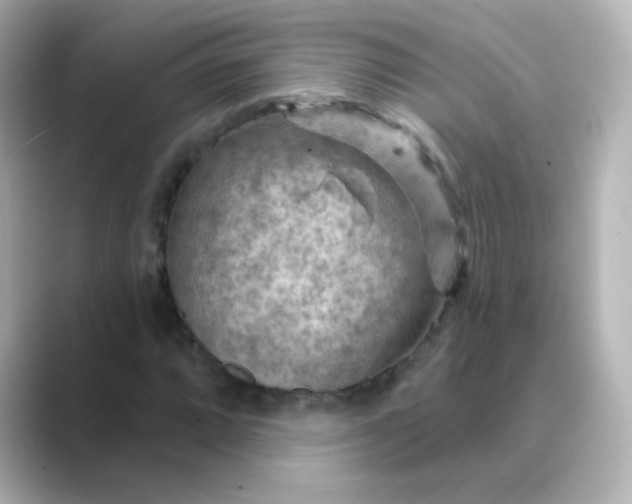 X0000088831064200706211811