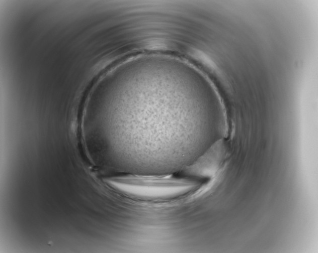 X0000088831065200706211811