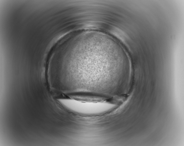 X0000088831066200706211811