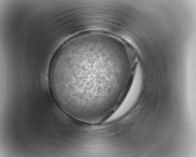 X0000088831068200706211811