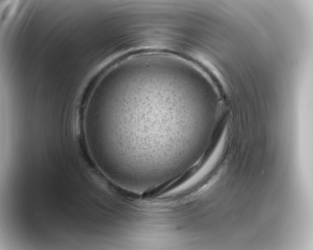 X0000088831069200706211811