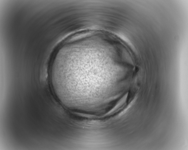 X0000088831070200706211811