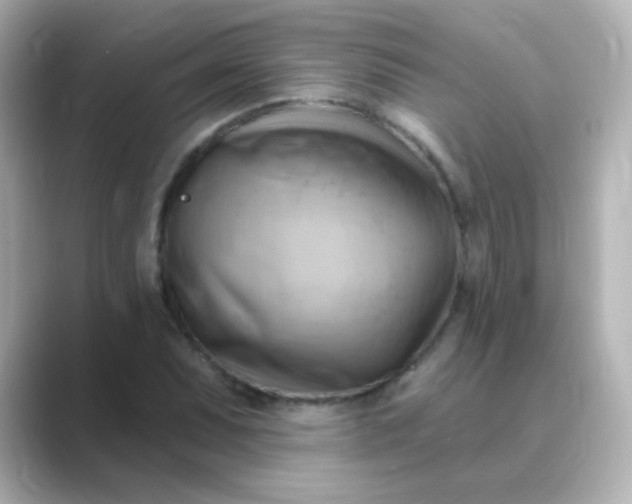 X0000088831071200706211810