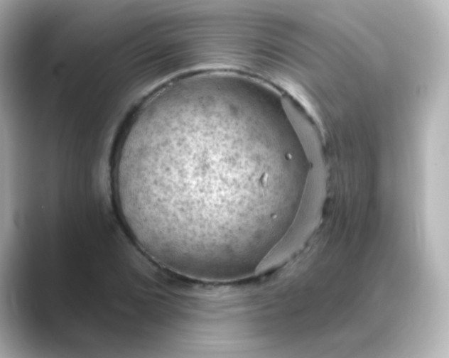 X0000088831072200706211810