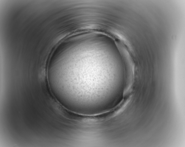 X0000088831073200706211810