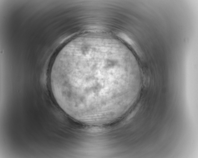 X0000088831074200706211810