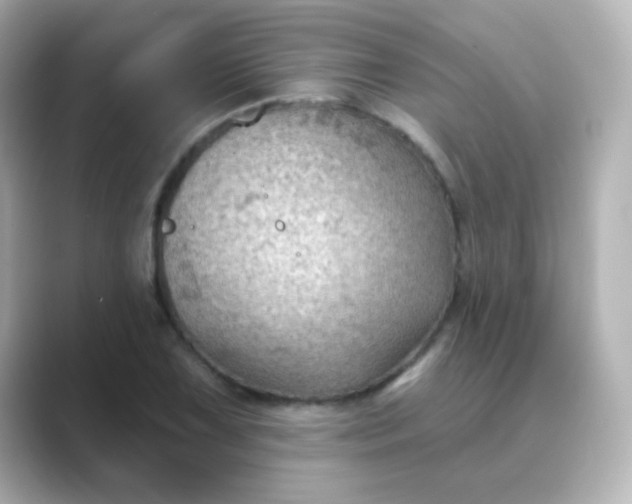 X0000088831075200706211810