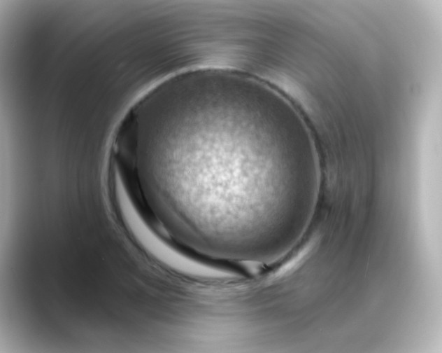 X0000088831077200706211810