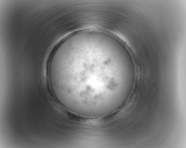 X0000088831078200706211810