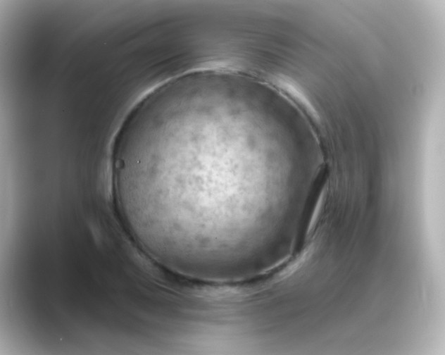 X0000088831079200706211810