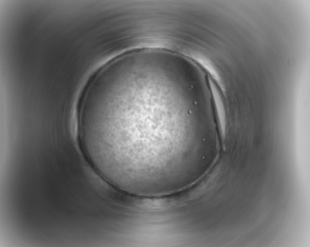 X0000088831080200706211810