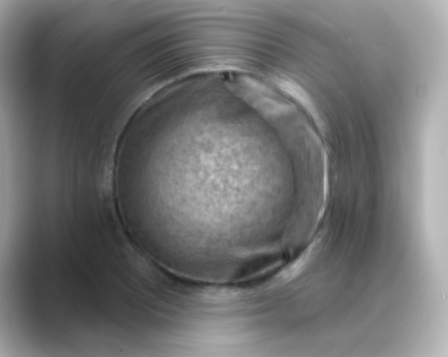 X0000088831081200706211810