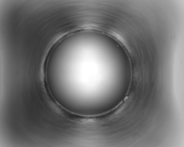 X0000088831082200706211810